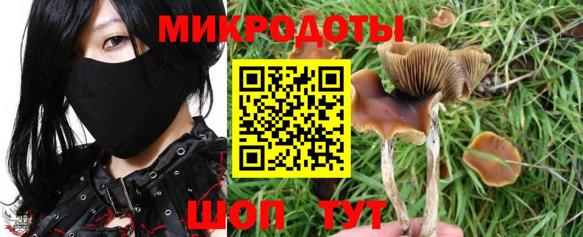 Галлюциногенные грибы Cubensis  Москва 