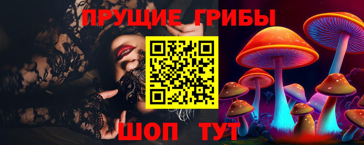 Москва  продажа наркотиков  Вход с VPN  Галлюциногенные грибы мицелий 